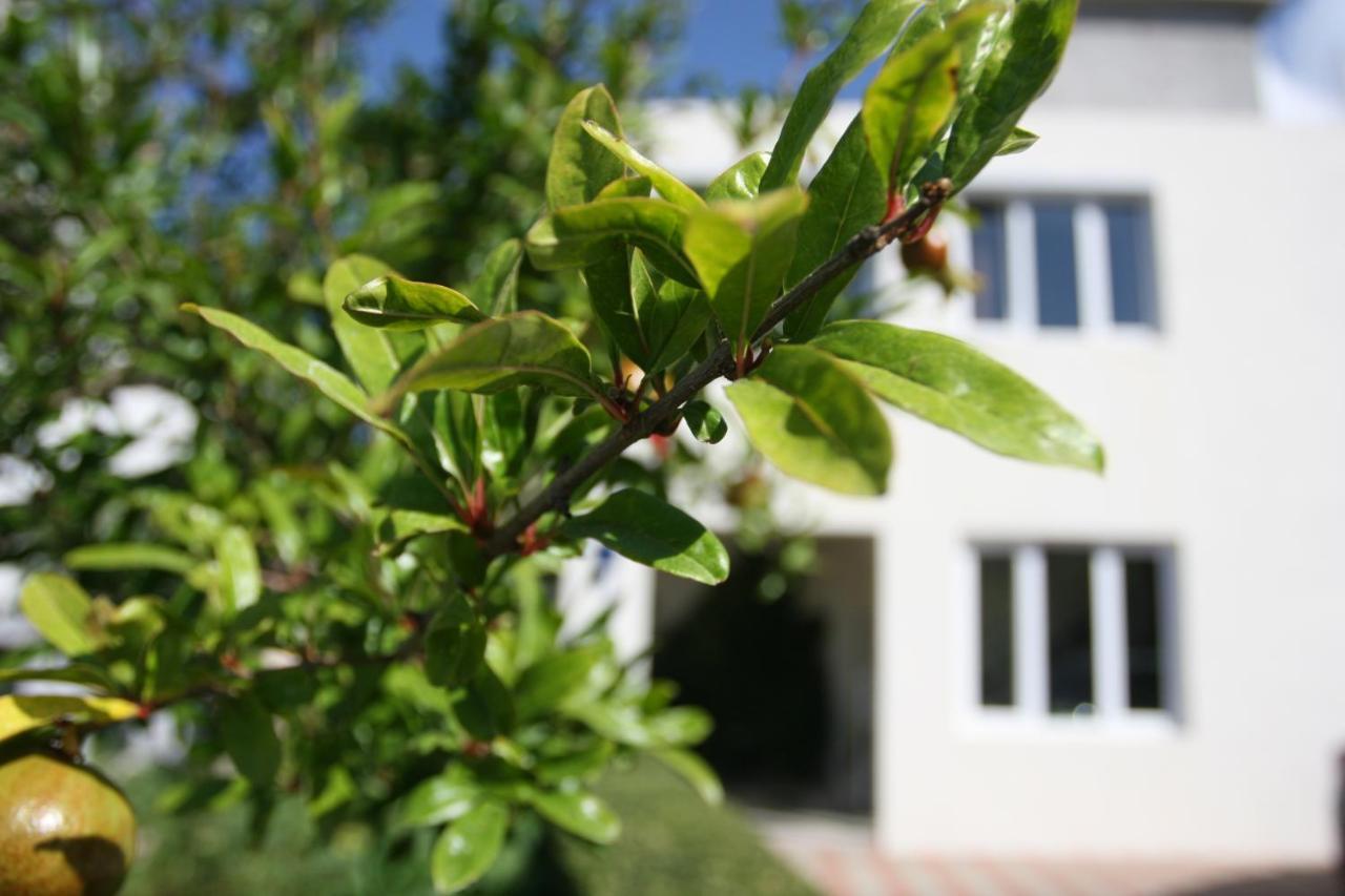 Apartman Mare Makarska Esterno foto